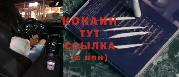 экстази Арсеньев
