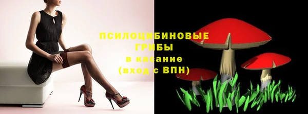 экстази Арсеньев