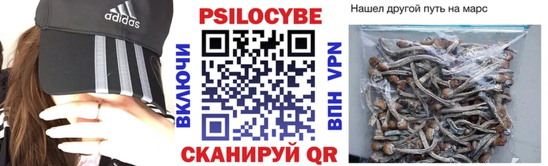 Псилоцибиновые грибы прущие грибы  дарк нет состав  Олонец  mega ONION 